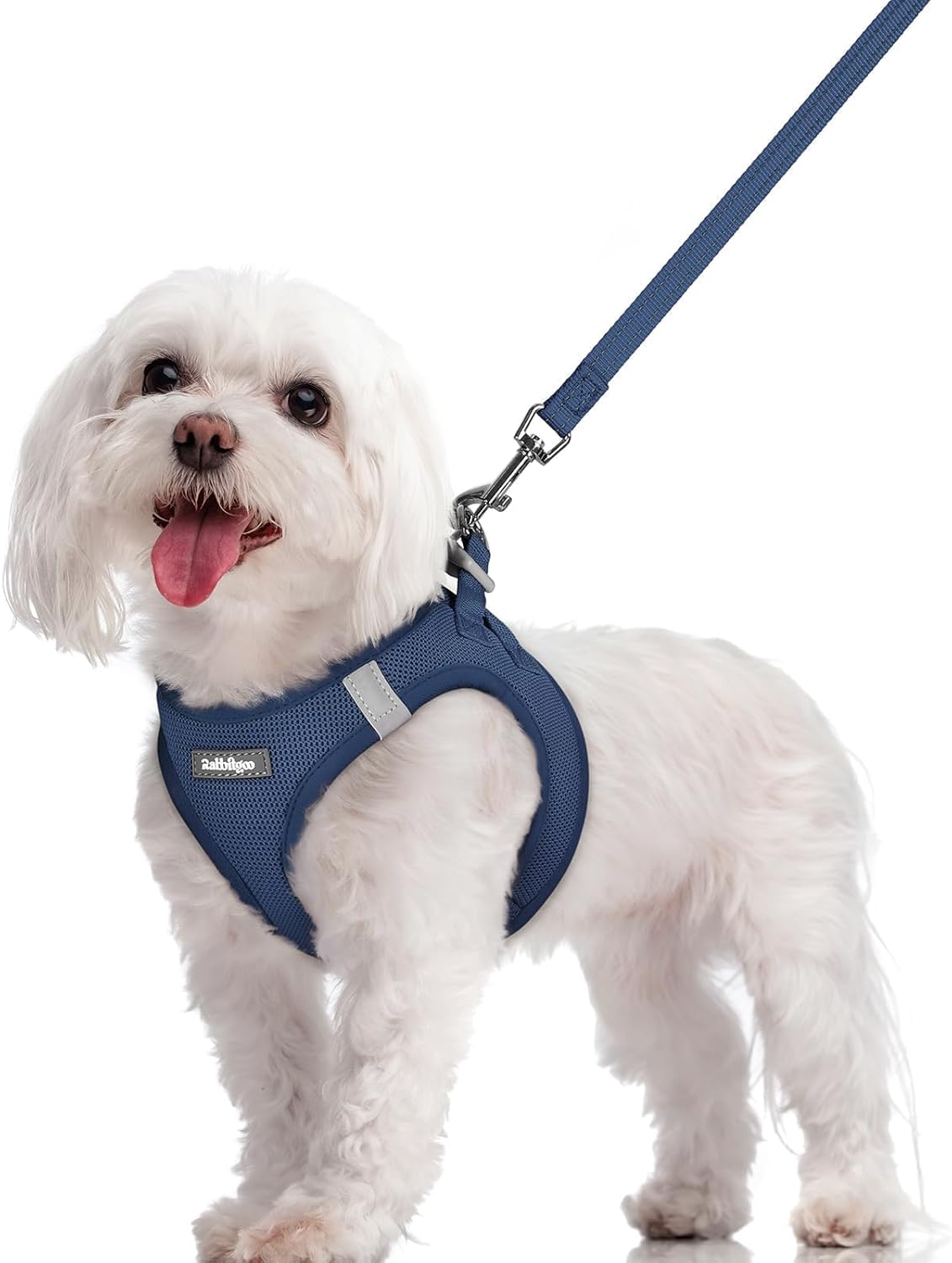 rabbitgoo Step-In Dog Harness and Leash Set: Reflective Mesh Puppy Vest (Navy Blue)
