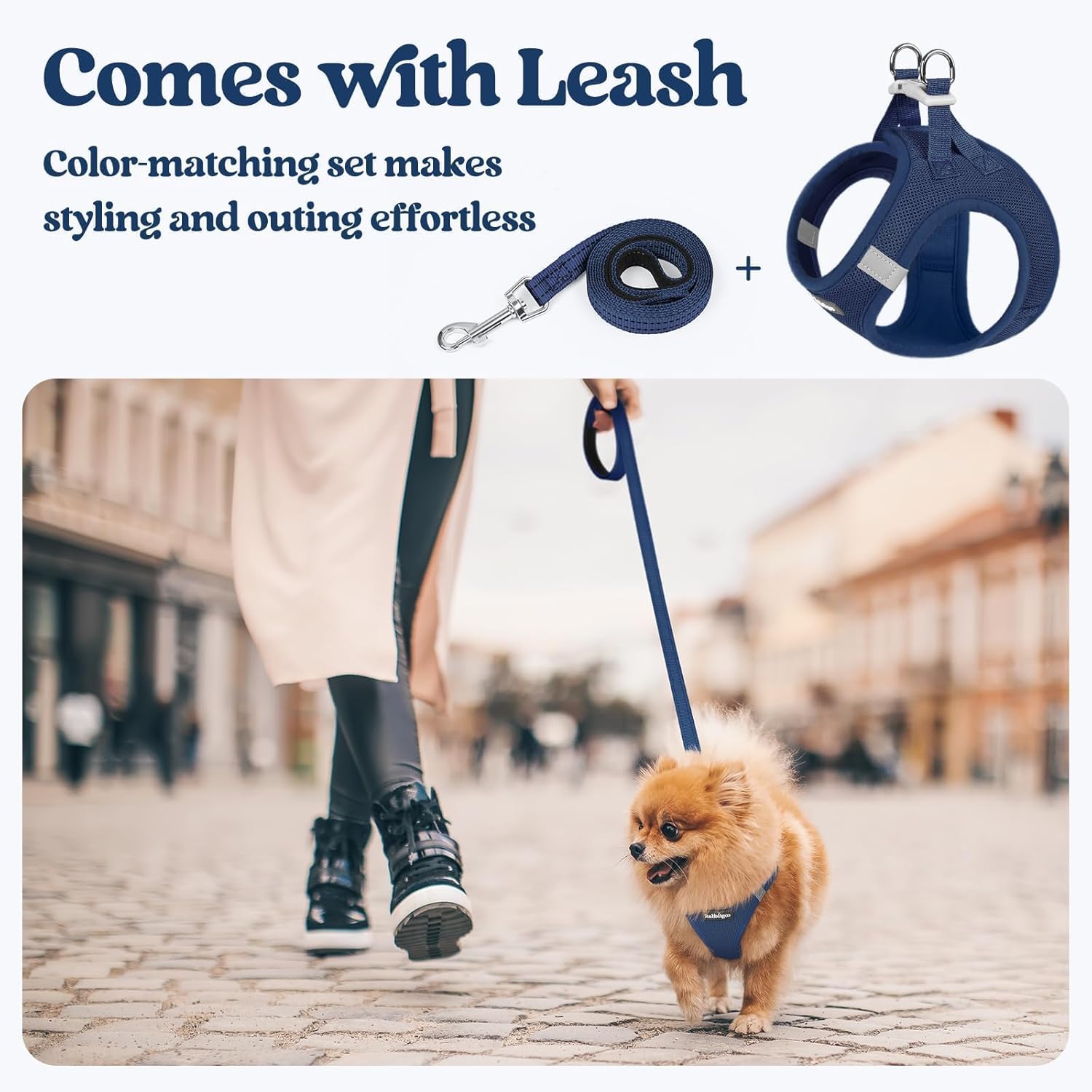 rabbitgoo Step-In Dog Harness and Leash Set: Reflective Mesh Puppy Vest (Navy Blue)