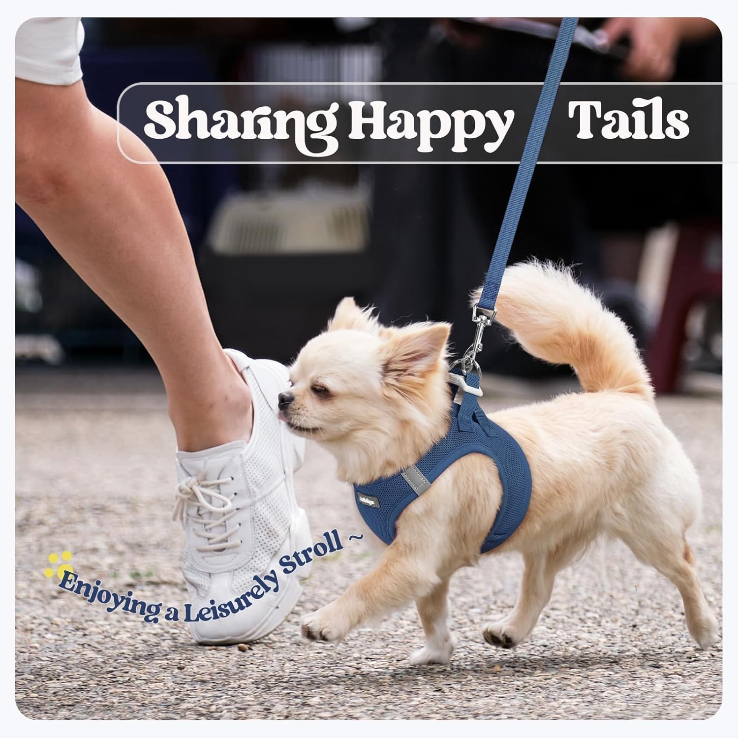 rabbitgoo Step-In Dog Harness and Leash Set: Reflective Mesh Puppy Vest (Navy Blue)