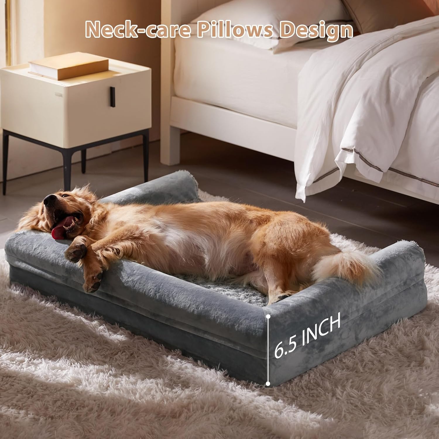 daily pet care essentials for home use