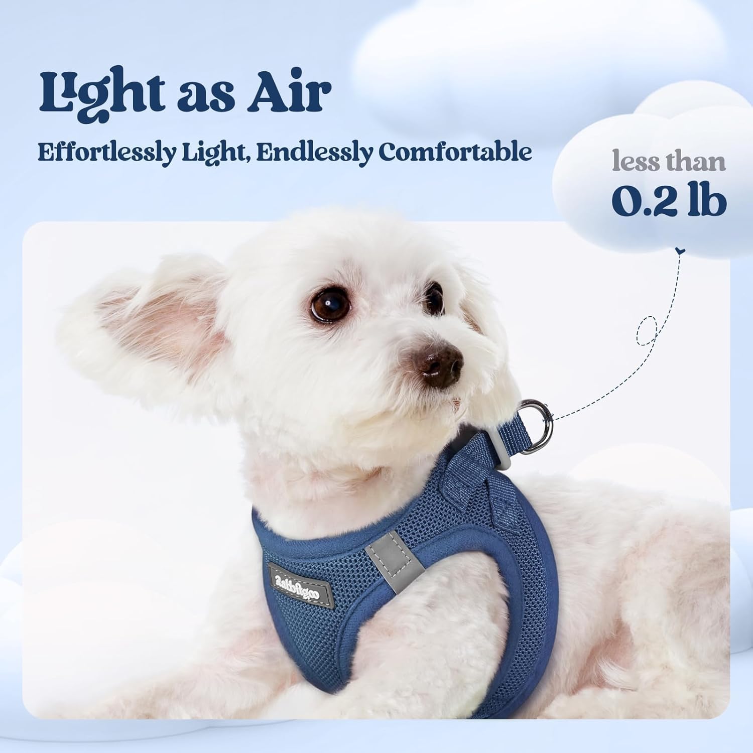 rabbitgoo Step-In Dog Harness and Leash Set: Reflective Mesh Puppy Vest (Navy Blue)