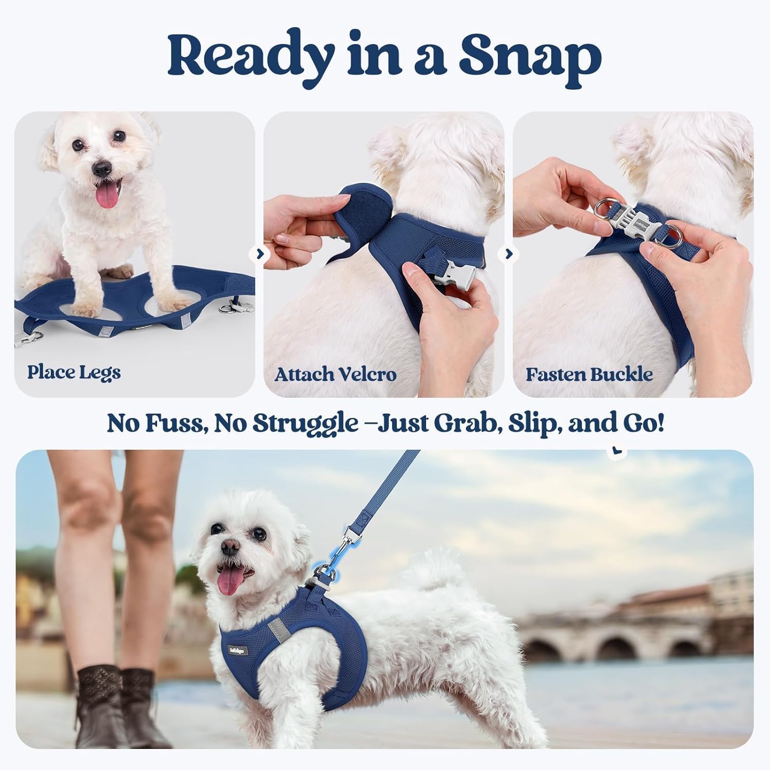 rabbitgoo Step-In Dog Harness and Leash Set: Reflective Mesh Puppy Vest (Navy Blue)