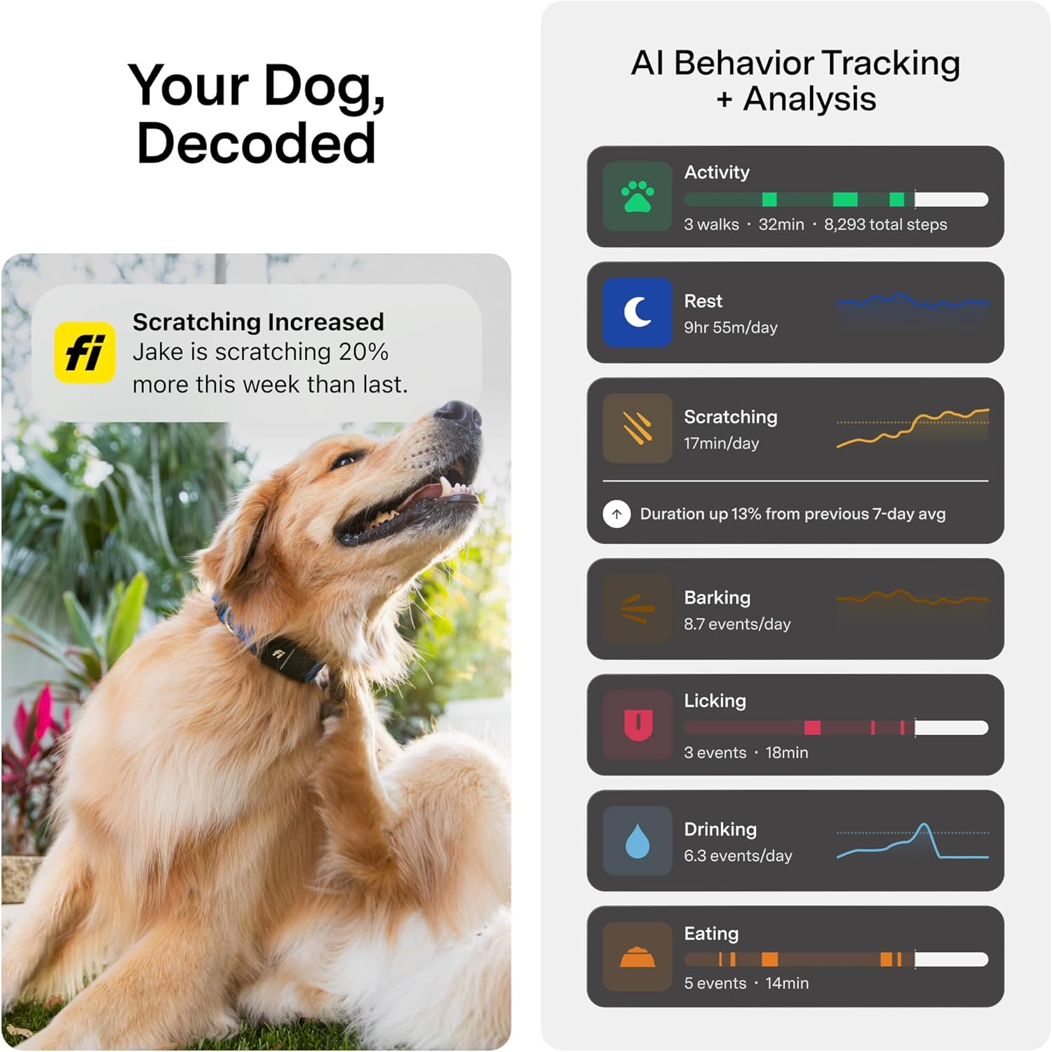 Fi Series 3+ Smart Dog Tracker Collar: GPS Tracking & AI Health Monitoring (Large, Gray)
