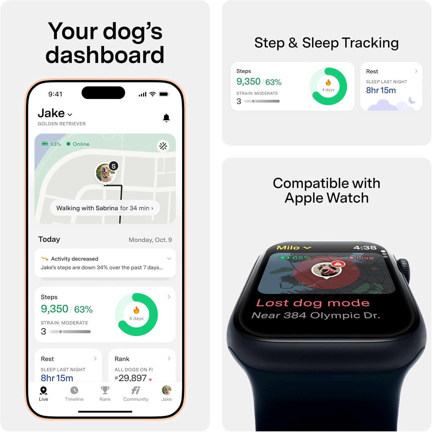 Fi Series 3+ Smart Dog Tracker Collar: GPS Tracking & AI Health Monitoring (Large, Gray)