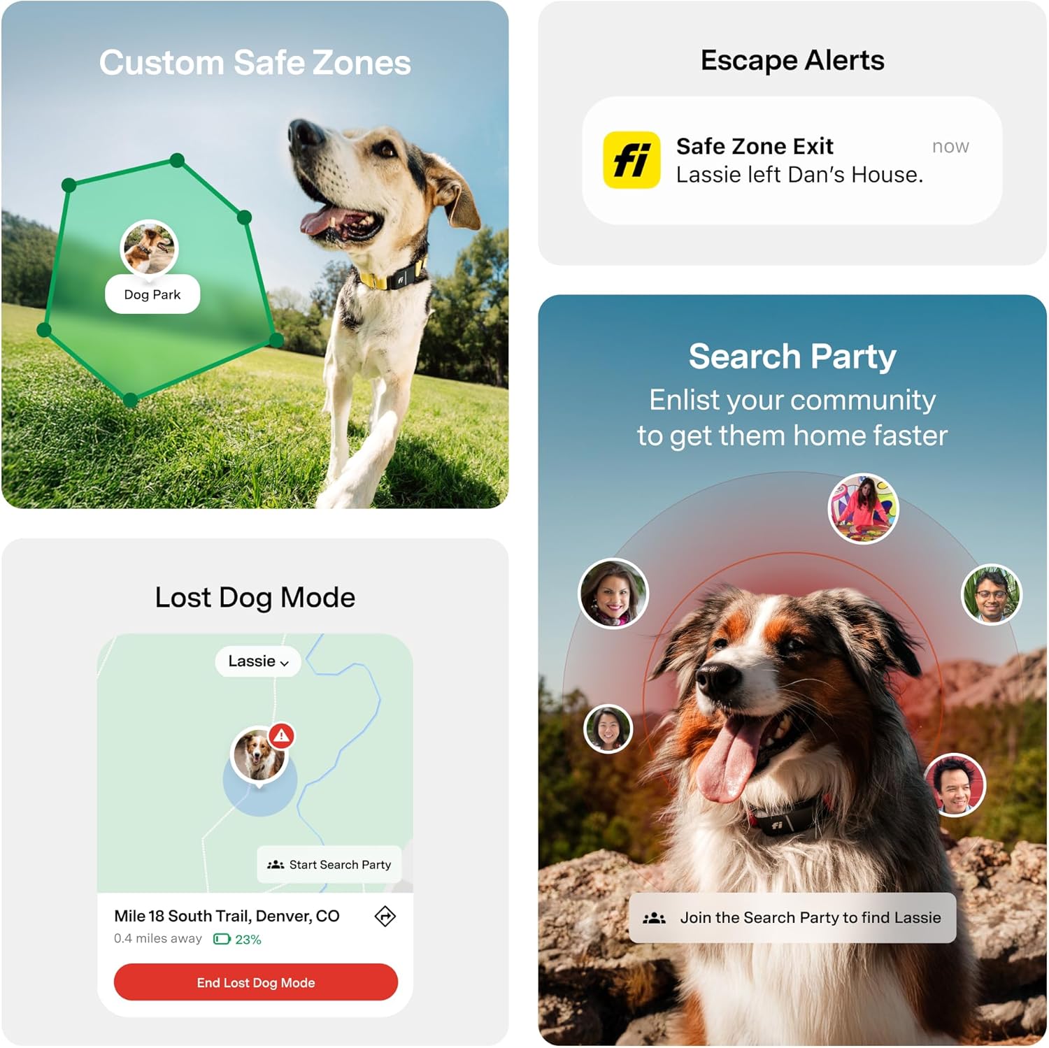 Fi Series 3+ Smart Dog Tracker Collar: GPS Tracking & AI Health Monitoring (Large, Gray)
