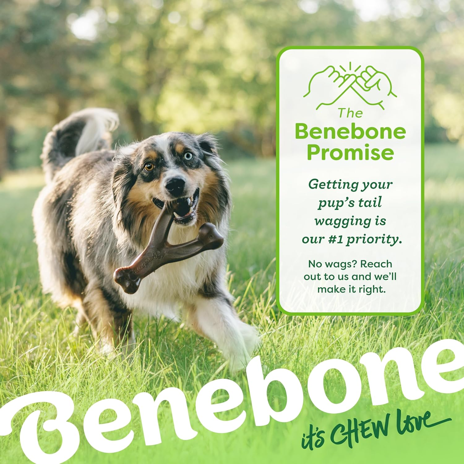 Benebone Durable Wishbone Dog Chew Toy: Real Bacon Flavor, Made in USA (Medium)
