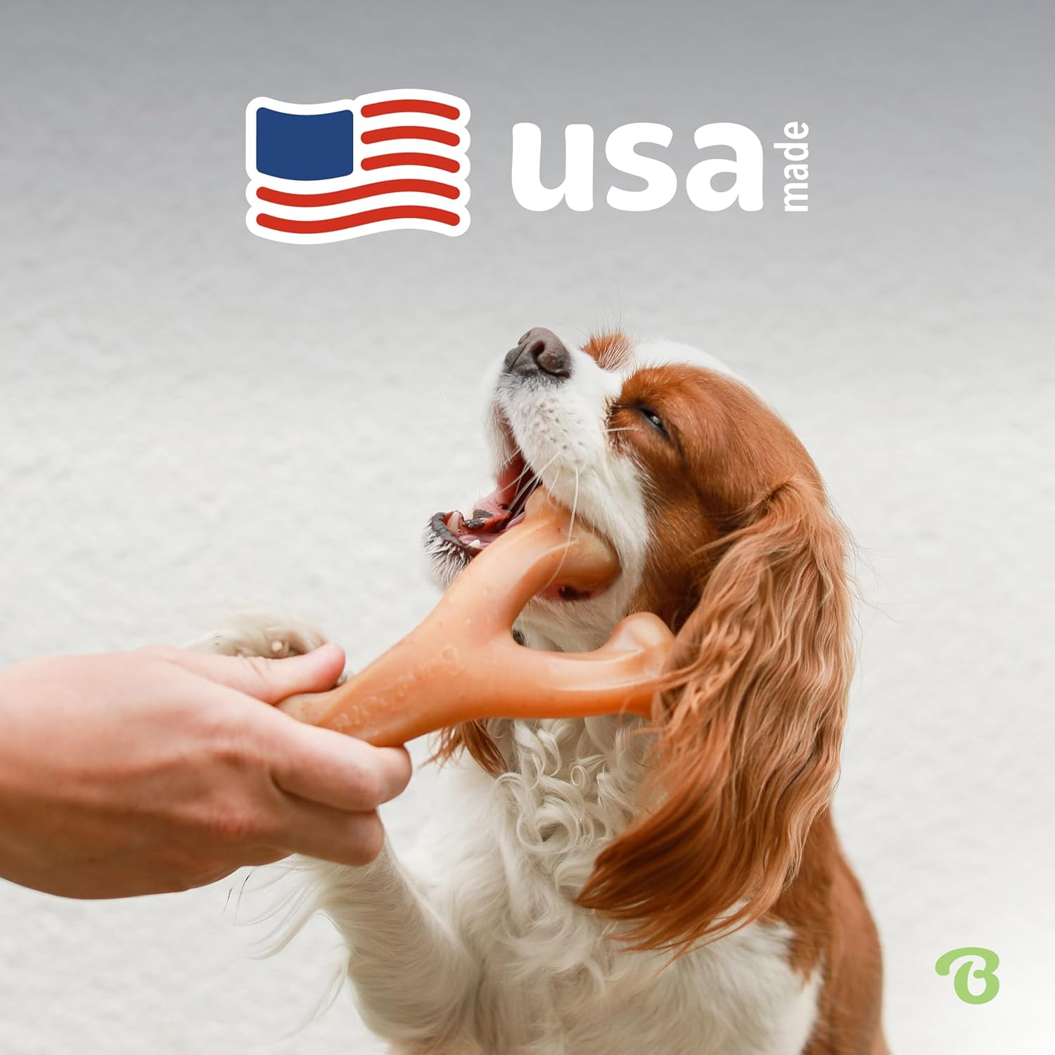 Benebone Durable Wishbone Dog Chew Toy: Real Bacon Flavor, Made in USA (Medium)